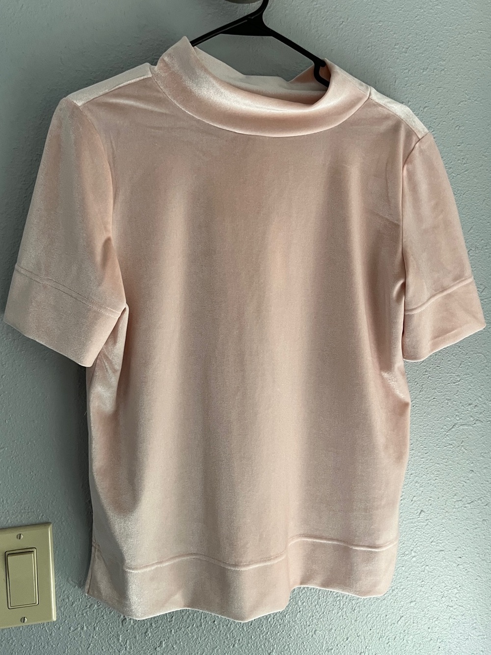 Anthropologie Blush Pink Velvet Mock Neck Short Sleeve Top